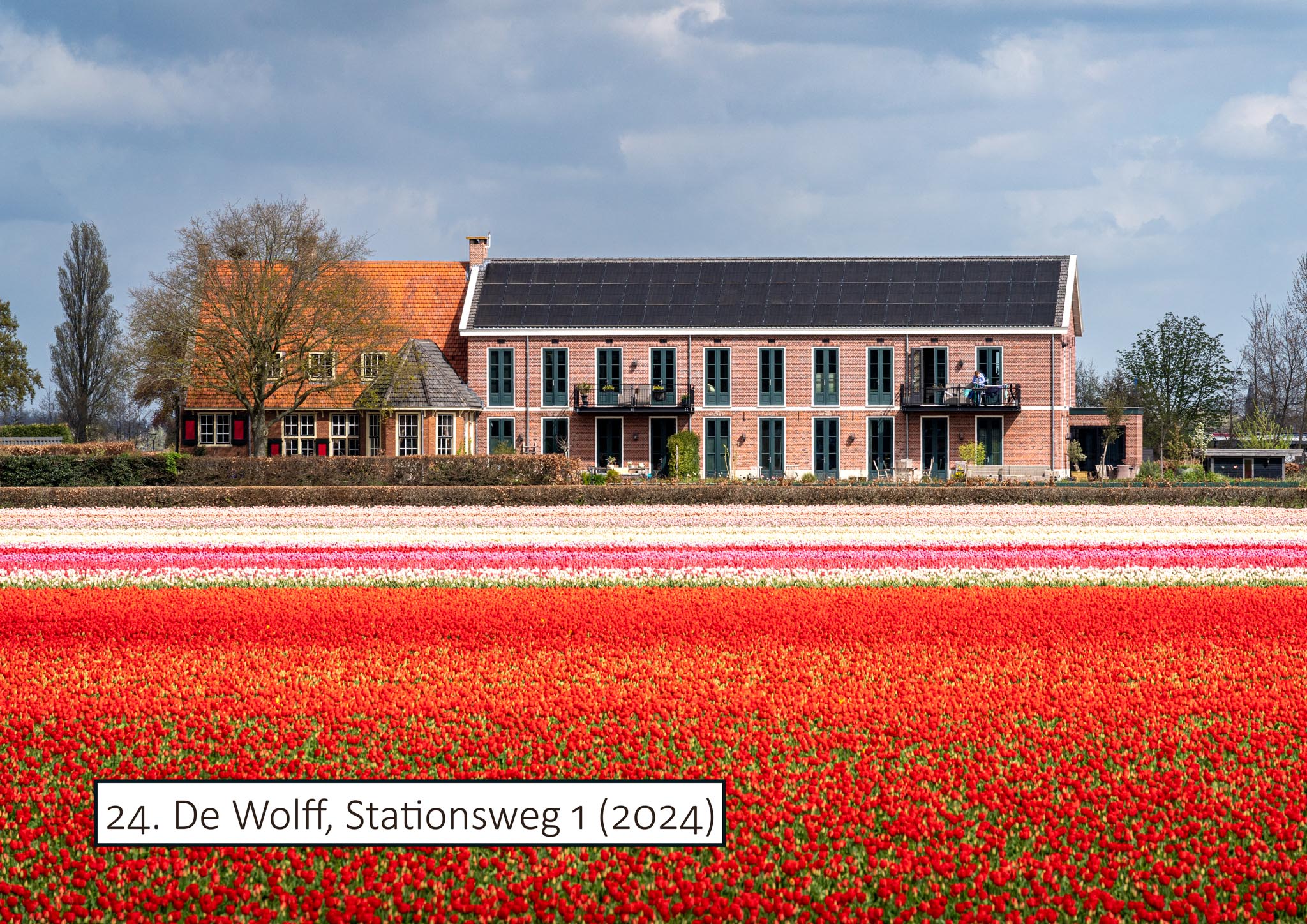 De Wolff